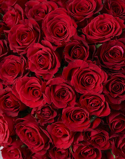 Festive rose bouquet